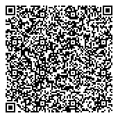 QR код "Серебряная звезда"