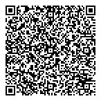 QR код "PLENKI.NET"