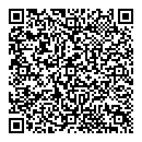 QR код "Домино"