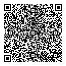 QR код "Блеск"
