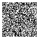 QR код "Vsegdasale"