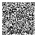 QR код "Picasso"