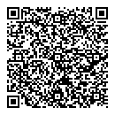 QR код "Salt City"