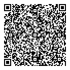 QR код "Shvets"