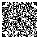 QR код "Звездочка"