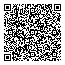 QR код "Венеция"