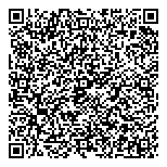QR код "Черный лебедь"