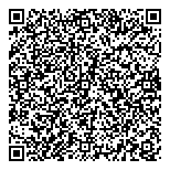 QR код "Эффект стайлс"