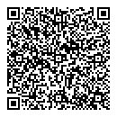 QR код "Алиса"