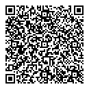 QR код "Алсу"