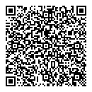QR код "Iris Style"