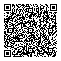 QR код "Shock"