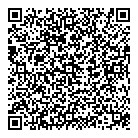 QR код "Лунный свет"