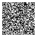 QR код "Shine"