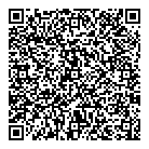 QR код "Дюэль professional"