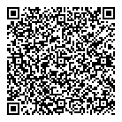 QR код "Шайн"