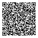 QR код "Джемини"