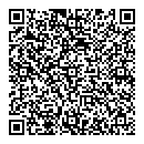 QR код "Дино Хеми"