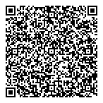 QR код "BDV Group"