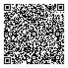 QR код "Flying toys"