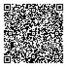QR код "TOY.RU"