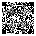QR код "Стиляги"