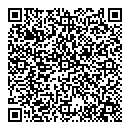 QR код "Алиса"
