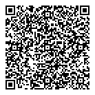 QR код "Ночной"