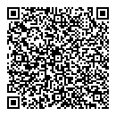 QR код "Циклон"