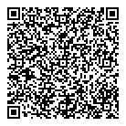 QR код "DSNShop"
