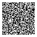 QR код "Глобус"