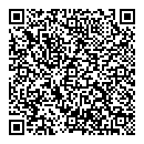 QR код "Метеор"