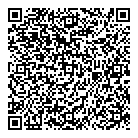 QR код "Мега город"