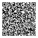 QR код "Eclipse"