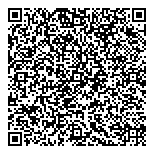 QR код "Ночной полет"