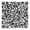 QR код "Матрикс"