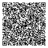 QR код "Планета шариков"
