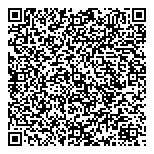 QR код "Аудит профи"