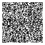 QR код "Виллис СНГ"