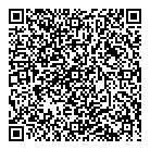QR код "PVI Group"