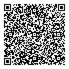 QR код "Аудит Экстра"