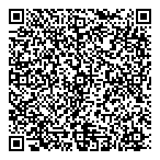 QR код "Starlink"
