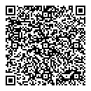 QR код "Налог-Сервис"