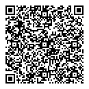 QR код "Снежинка"