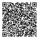 QR код "Копейка"