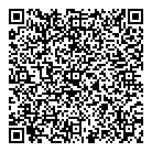 QR код "Bridges"