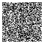 QR код "Аничков лицей"