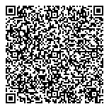 QR код "Лицей №533"