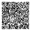QR код "Тэсла"