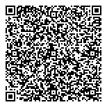 QR код "ДорСтройИнвест"
